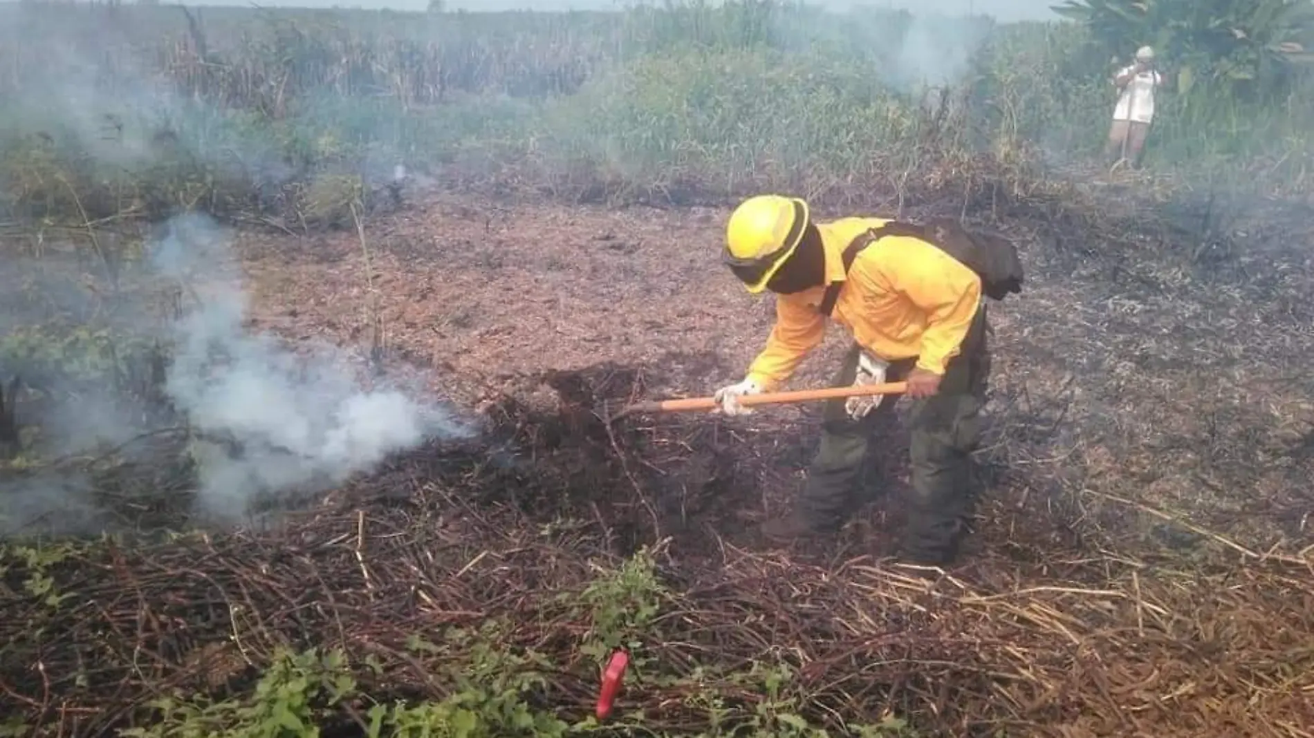 incendios forestales, chiapas